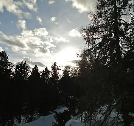 Las Plauntas * St. Moritz
