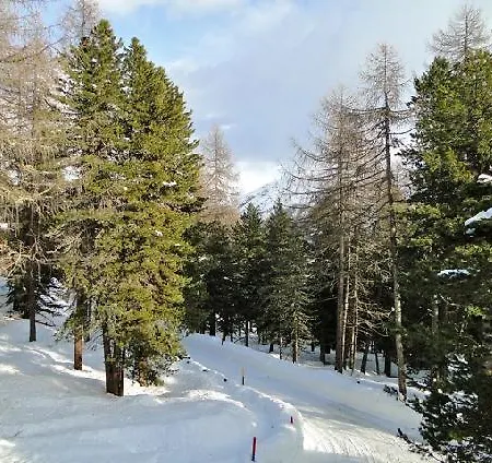 Holiday home Las Plauntas St. Moritz